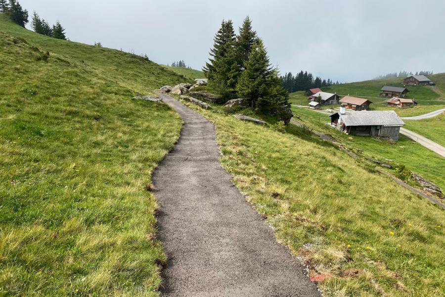 chemin du plaisir6