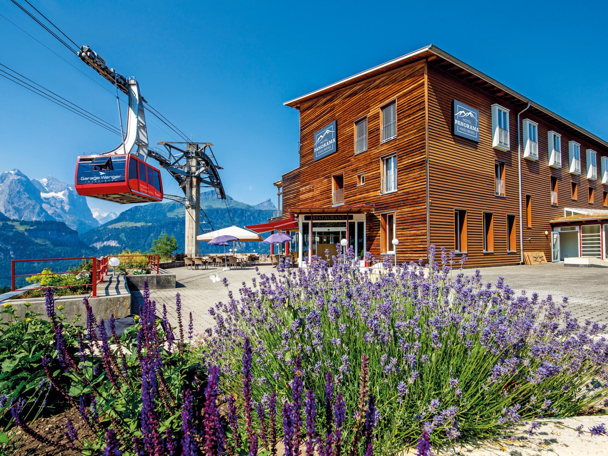 hotel_panorama_été_accueil